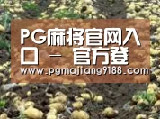 种植基地七