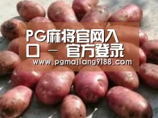 产品展示标题5