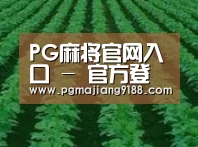 种植基地六