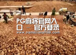 种植基地二