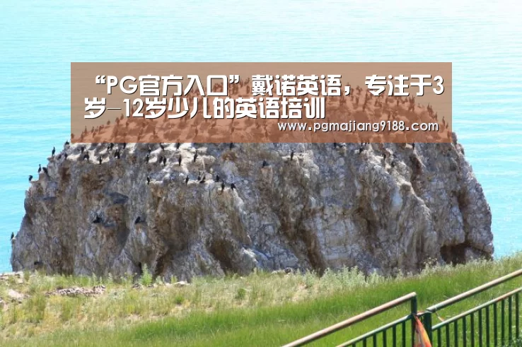 PG电子官网